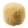 Gerakios Natural Sea Sponge Ελληνικό 100% Φυσικό Θαλάσσιο Σφουγγάρι Νο 7 1τεμ.