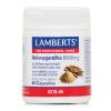 Lamberts Ashwagandha Συμπλήρωμα Διατροφή Ασβαγκάντα για Ενίσχυση του Ανοσοποιητικού 600mg 60caps