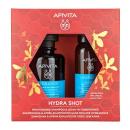 Apivita Promo Hydration Σαμπουάν Ενυδάτωσης 250ml & Κρέμα Μαλλιών Leave -In με Υαλουρονικό Οξύ 100ml
