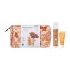Korres Promo Red Grape Antiageing & Antispot Αντηλιακή Κρέμα Προσώπου κατά των Πανάδων με Χρώμα SPF50 50ml & Δώρο Black Pine ...