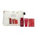 Apivita Promo Beevine Elixir Ορός Ενεργοποίησης Σύσφιξης-Lifting 30ml & Δώρο Αντιρυτιδική Κρέμα Προσώπου 15ml & Αντιρυτιδική ...