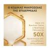 Apivita Queen Bee Longevity Silky Light Cream Αντιγηραντική Κρέμα Προσώπου Ελαφριάς Υφής 50ml