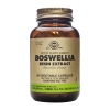 Solgar Boswellia Resin Extract Συμπλήρωμα Διατροφής για Αρθρώσεις 60caps