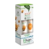 Power Health Multi + Multi με Στέβια 24 Αναβράζοντα Δισκία + Vitamin C 500mg Πορτοκάλι 20 Αναβράζοντα Δισκία