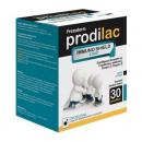 Frezyderm Prodilac Immuno Shield Start Συμπλήρωμα Ενίσχυσης του Ανοσοποιητικού για Νήπια & Παιδιά 30 Φακελάκια