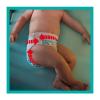 Pampers Pants Maxi Pack No5 (12-17kg) 42τμχ