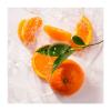 Roger & Gallet Bois d'Orange Wellbeing Soap Bars Αναζωογονητικό Φυτικό Σαπούνι με Άρωμα Πορτοκαλιού 3x100g