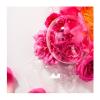 Roger & Gallet Rose Perfumed Soap Bar Γυναικείο Αναζωογονητικό Φυτικό Σαπούνι με Άρωμα Τριαντάφυλλο 100gr