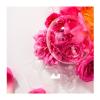 Roger & Gallet Rose Perfumed Soap Bar Αναζωογονητικό Φυτικό Σαπούνι με Άρωμα Τριαντάφυλλο 3x100g