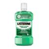 Listerine Teeth & Gum Defence Στοματικό Διάλυμα κατά της Πλάκας 500ml