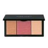 Erre Due Blush Color Palette Παλέτα Ρουζ 303 Blossom Buddy 11,5g